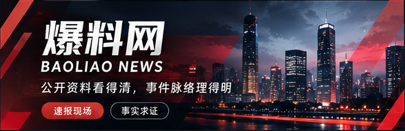 爆料网品牌主视觉